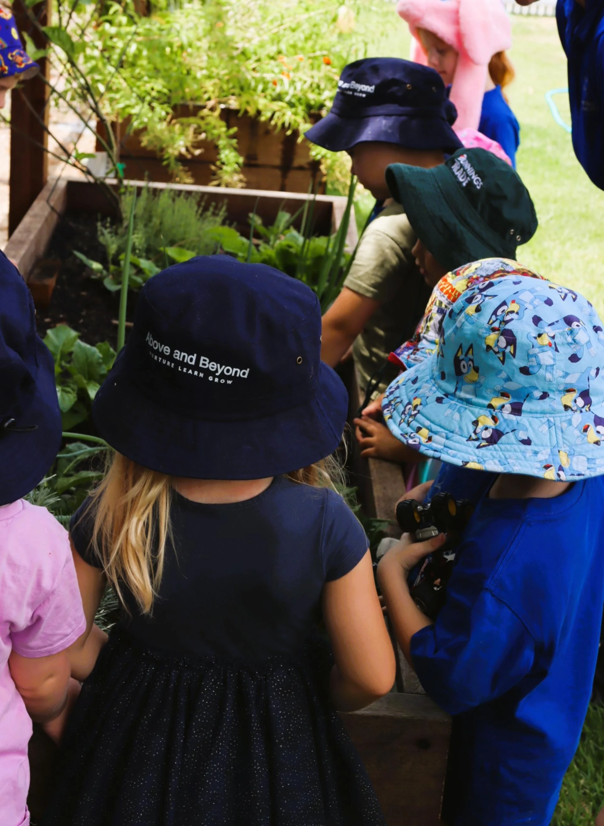 Nature Meets Nurture: How Bundaberg Kindergartens Embrace Outdoor Education