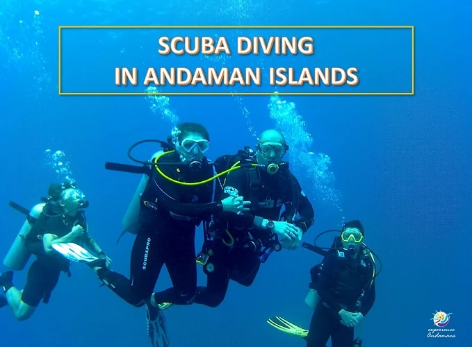 Andaman & Nicobar Islands: Where Time Slows and Souls Breathe