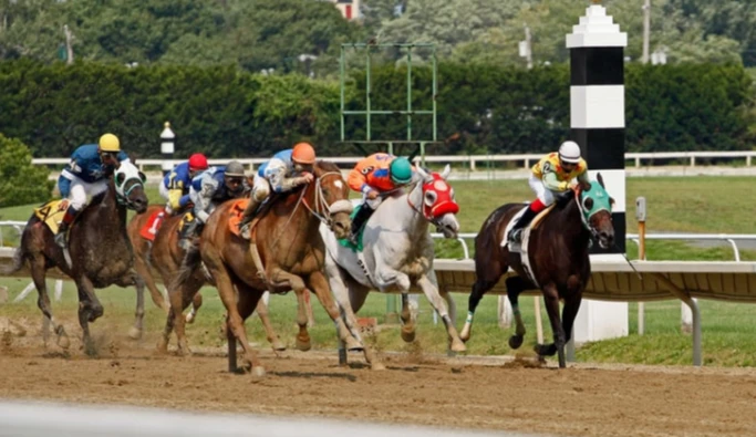 Les moments forts du jour dans le monde des courses de chevaux