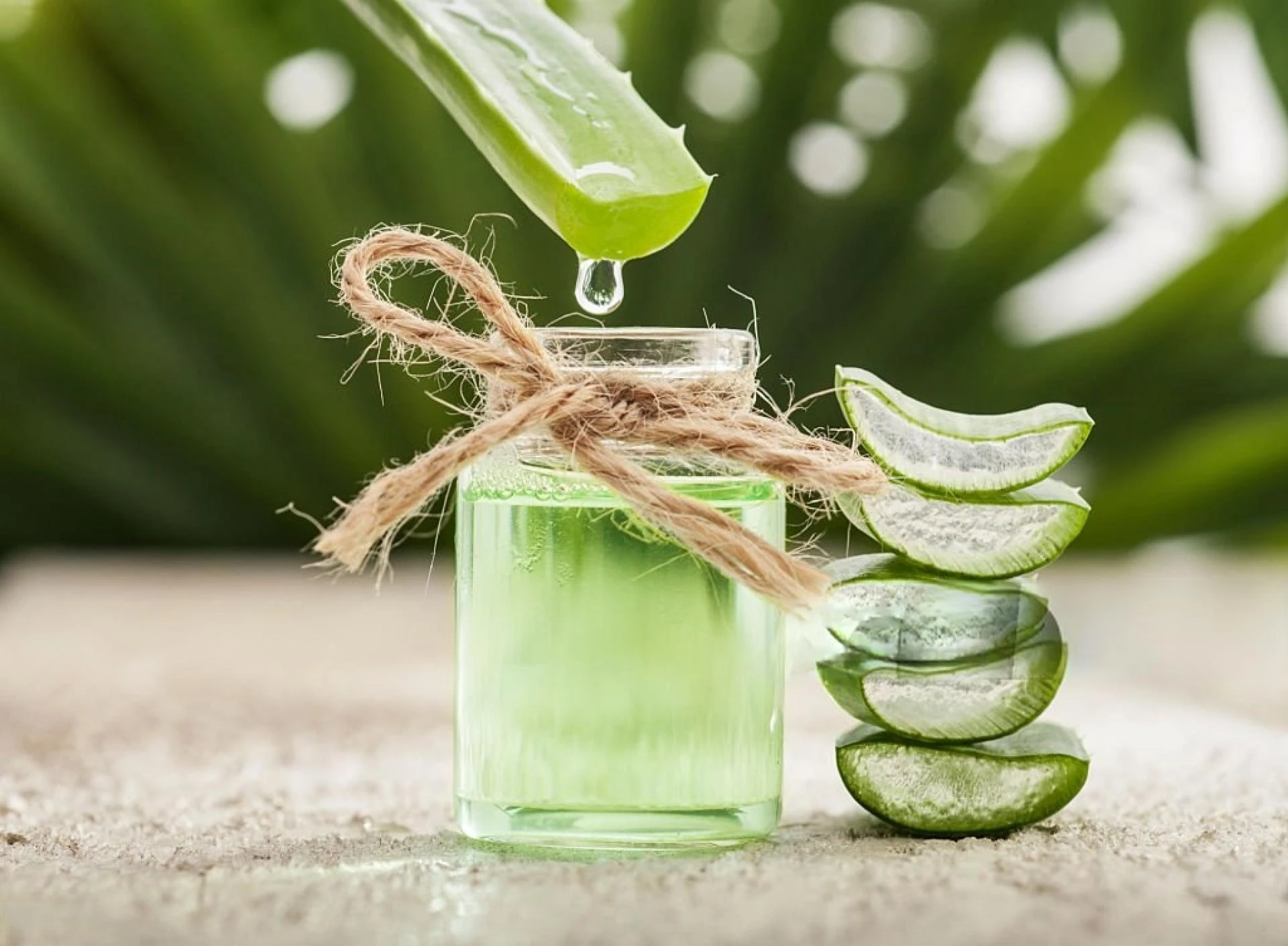 Top 10 Organic Juices to Boost Daily Energy Levels – HolyIndia