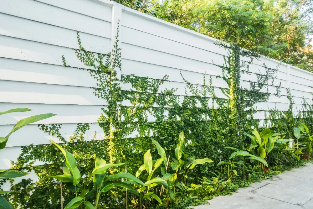 Boost Curb Appeal: How to Repair and Revive Your Old Fence