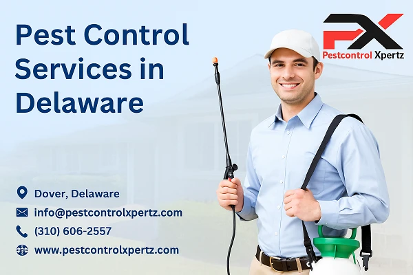Top Pest Prevention Tips for Middletown Homeowners
