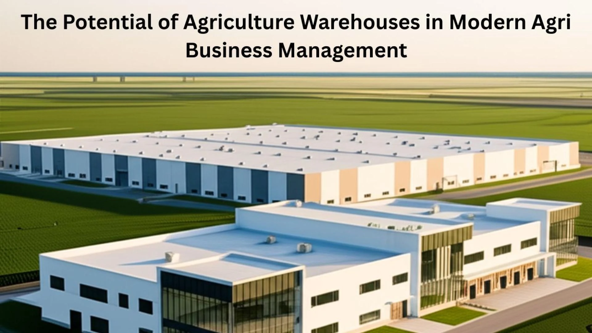 The Potential of Agriculture Warehouses in Modern Agri Business Management