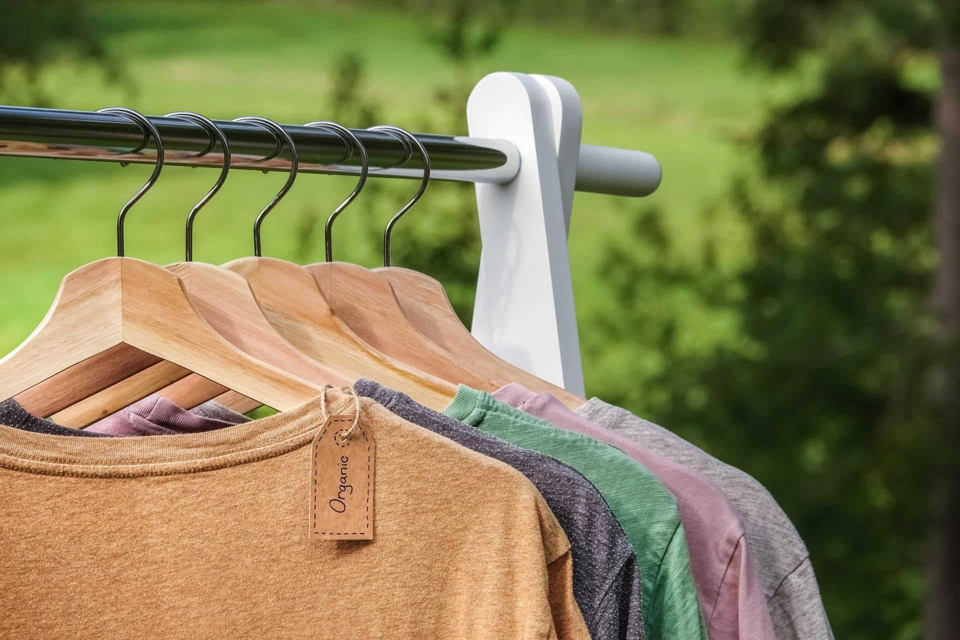 Choosing Brands with a Conscience: A Consumer's Guide