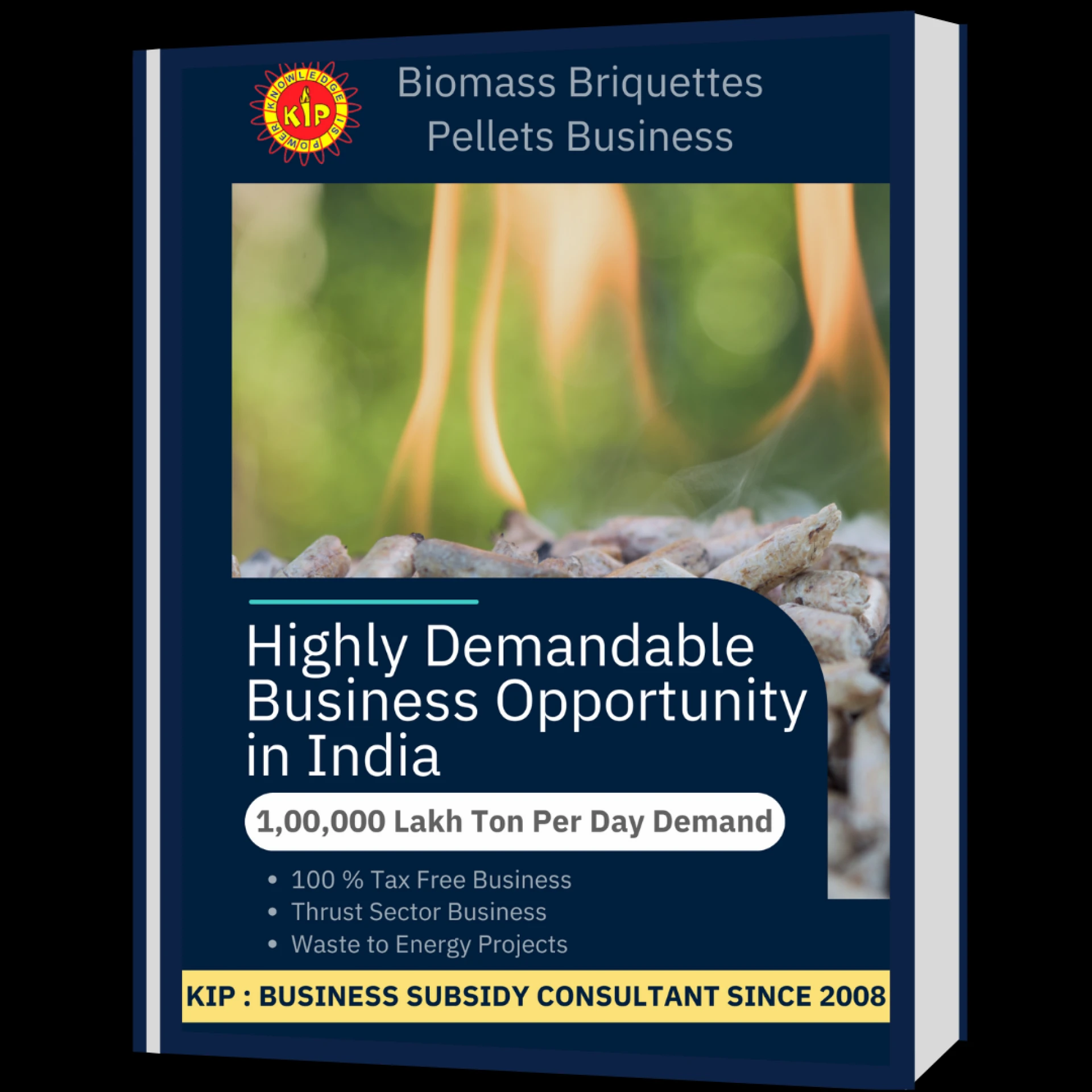 Want to Know About Biomass Briquettes and Pellets? Read Our eBook