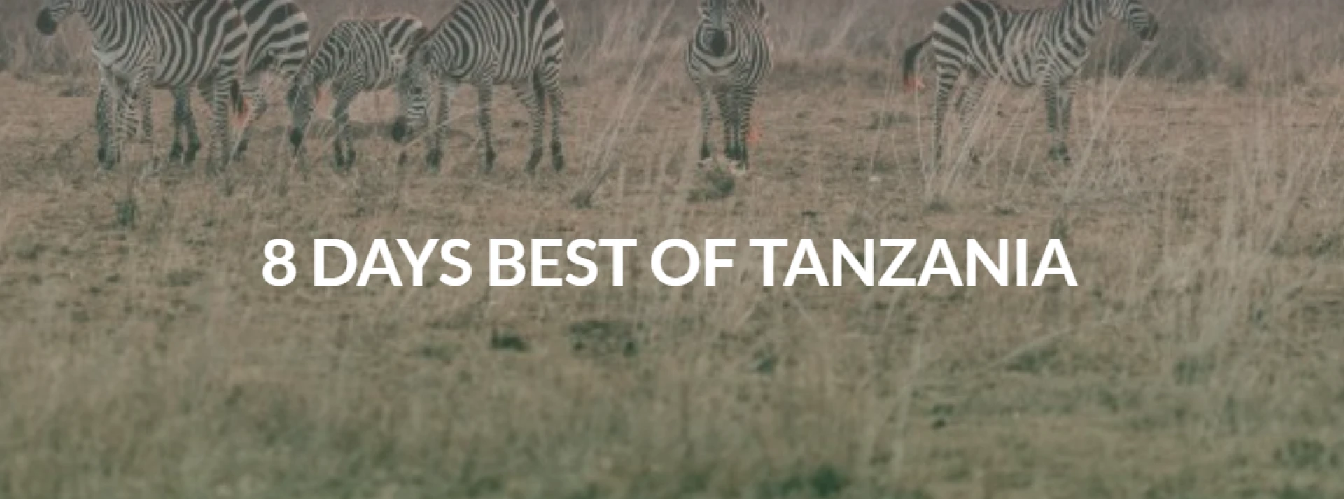 8 Days in Tanzania: Unforgettable Safari Tours You Can’t Miss
