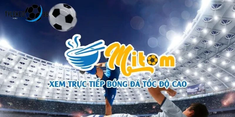 Trực Tiếp Bóng Đá Mitom TV Tại Tylekeo88 World