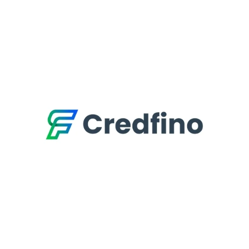 Credfino's Virtual Accountants & Accounting Services for Modern Firms