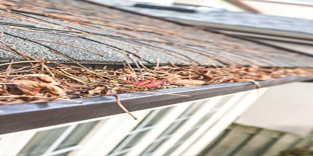Reliable Gutter Cleaning Services in Notting Hill to Prevent Water Damage