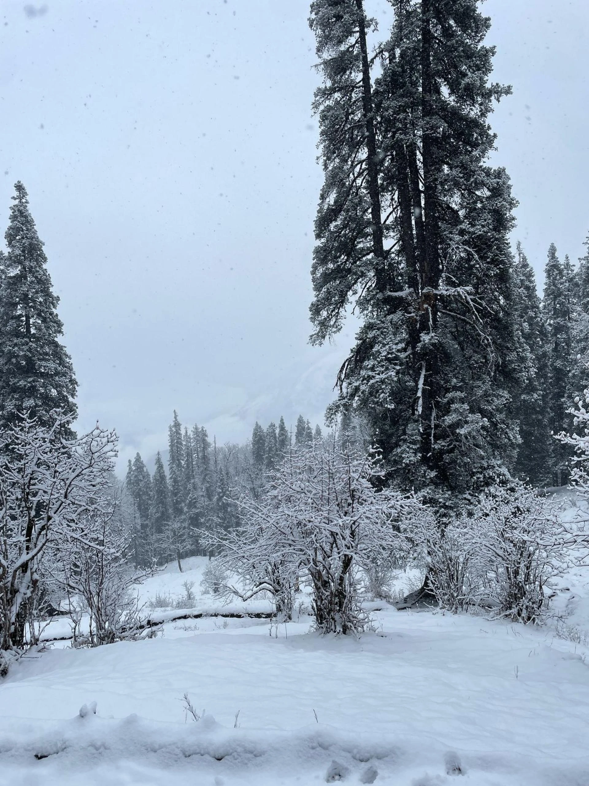Why Kedarkantha Is the Perfect winter trek in 2025