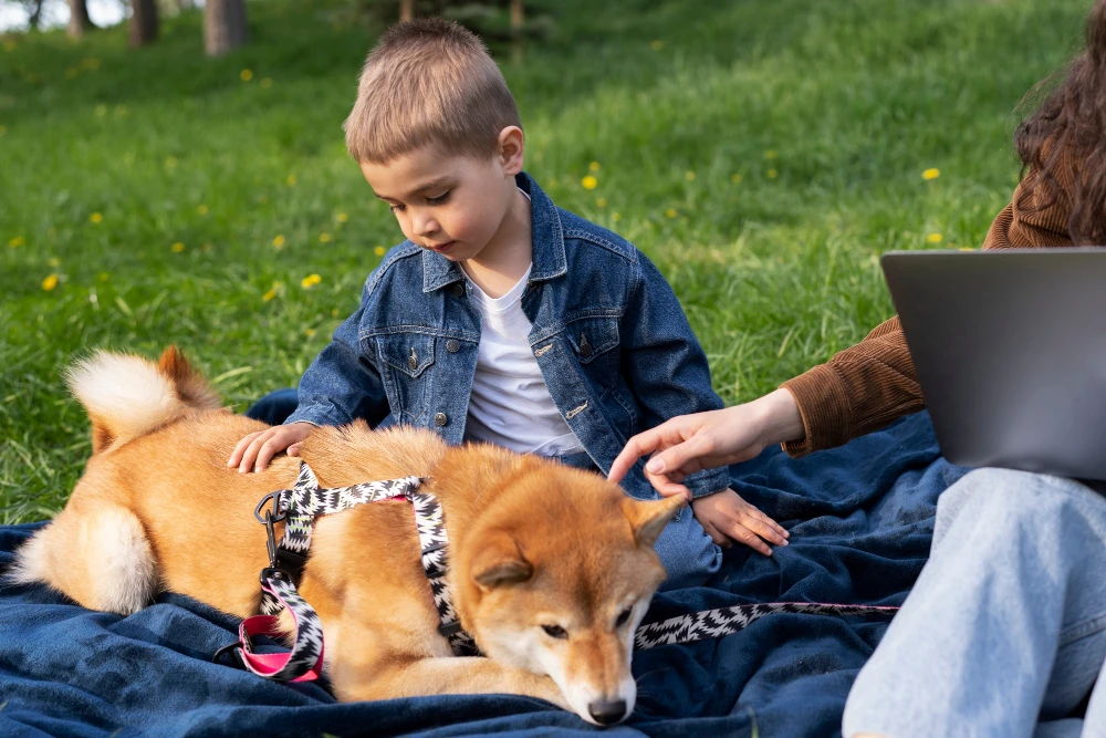 Canine Therapy Adventures: Dogs Making a Difference