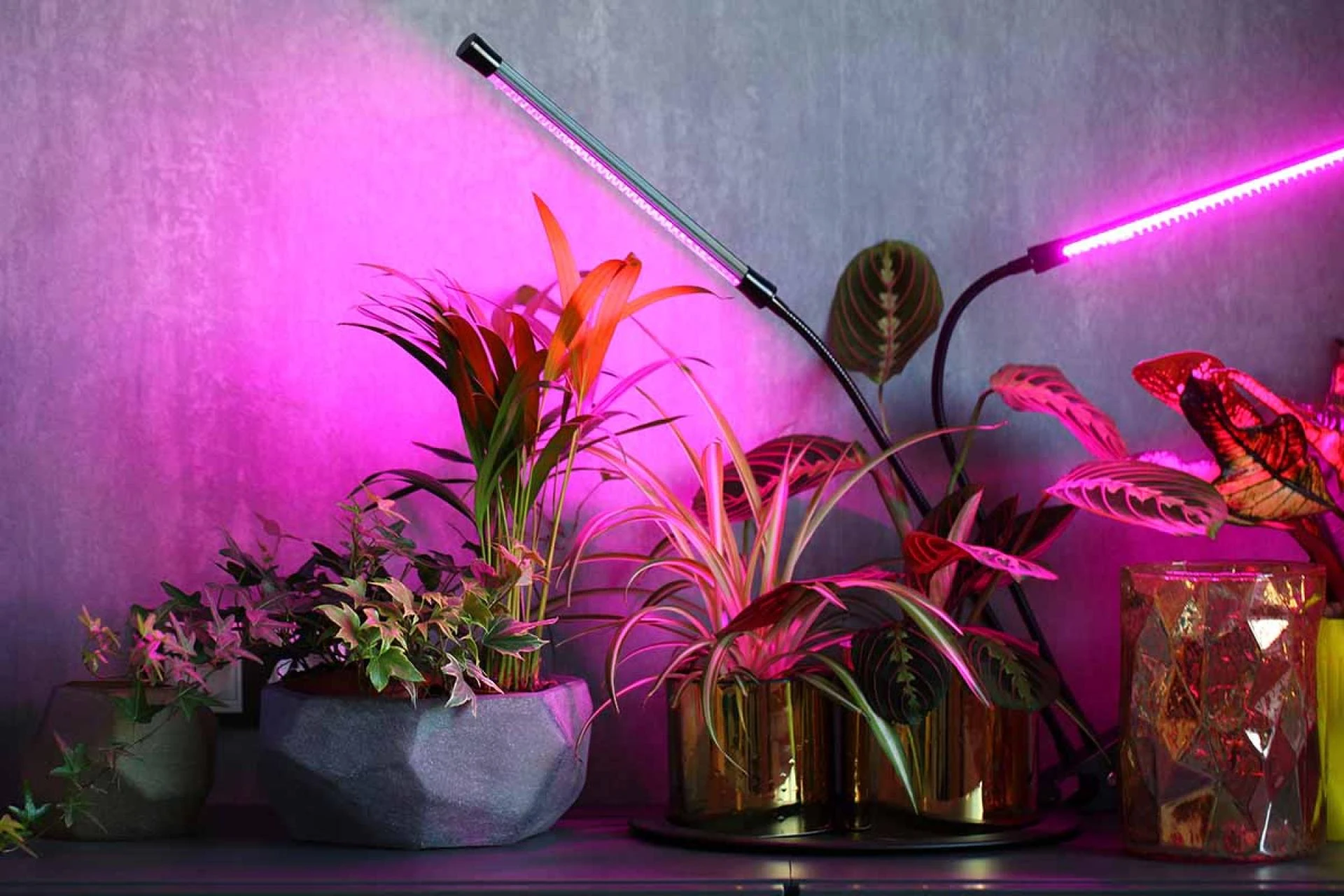 Choosing the Best LED Grow Lights: What Every Indoor Gardener Should Know