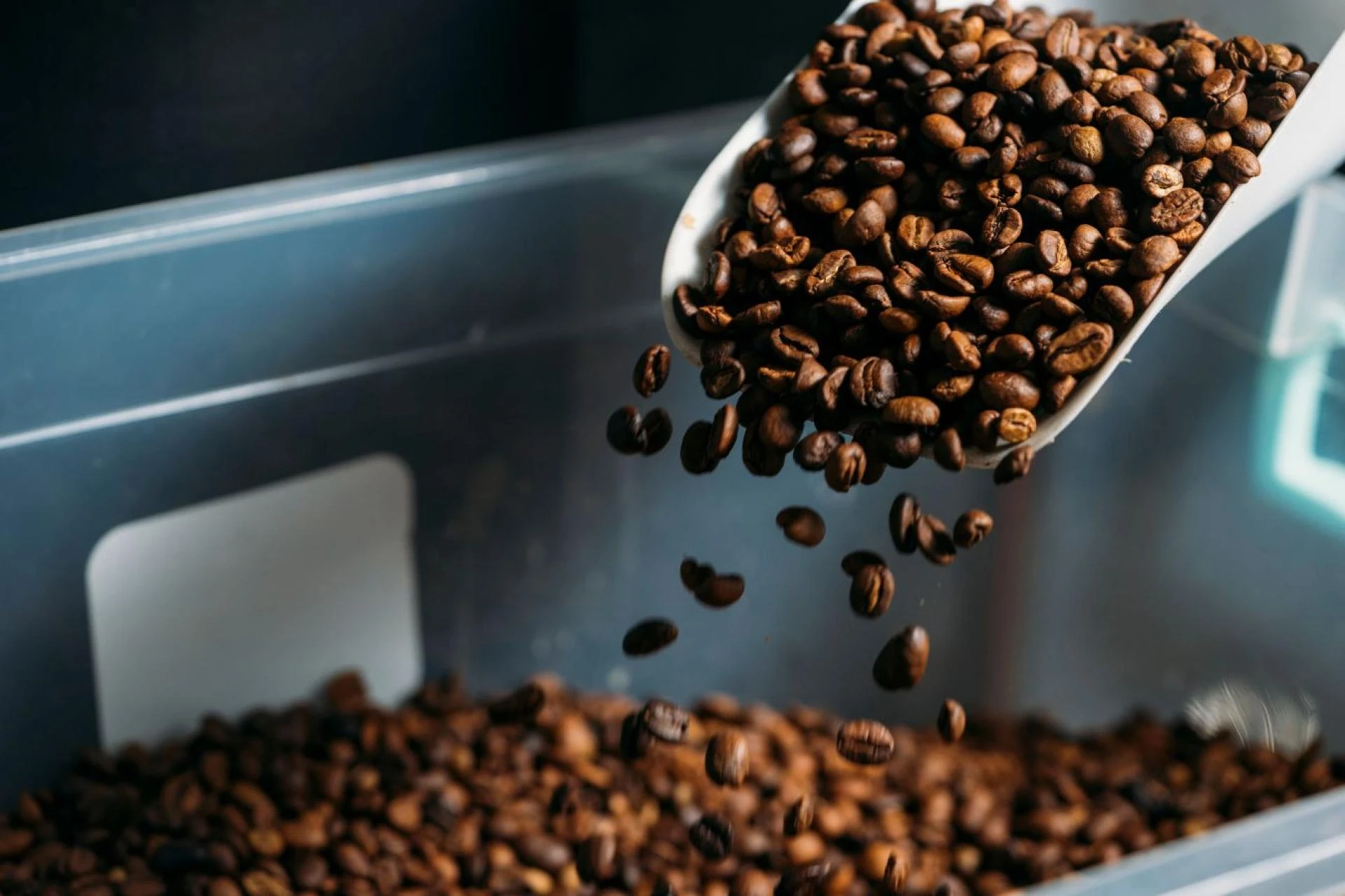 Behind the Roast: A Day in the Life of Our Head Roaster