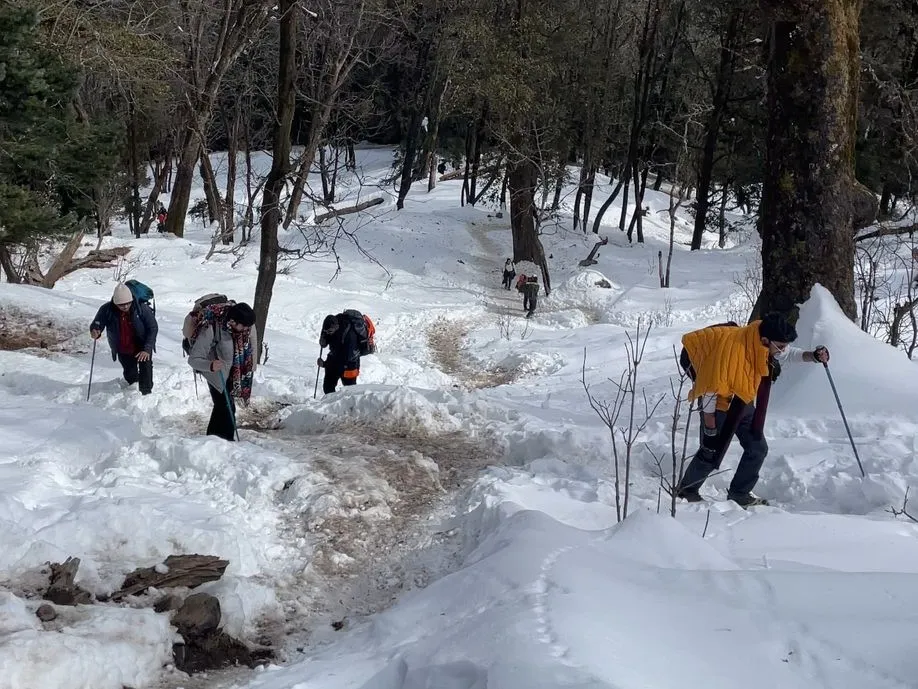 Draft: My Post TitKedarkantha Trek – A True Mountain Escapele