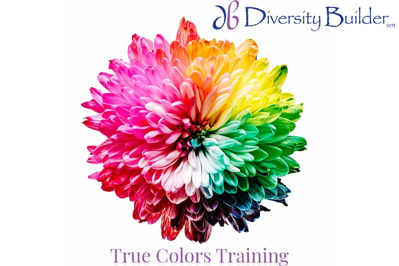 True Colors Personality Training for Better Teams