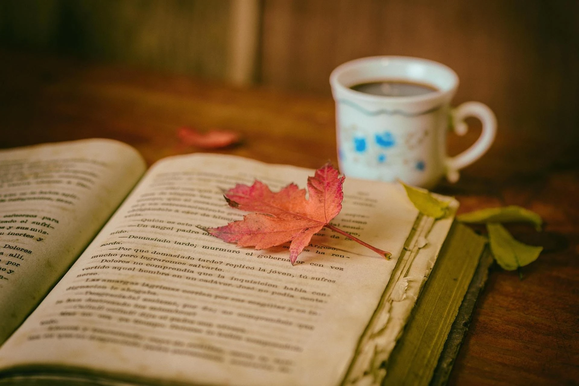 Publishing Your Dream Book: Affordable Book Publishing Services