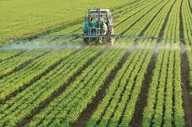 Regenerative Agriculture Market Research Highlights Growth and Sustainability Opportunities