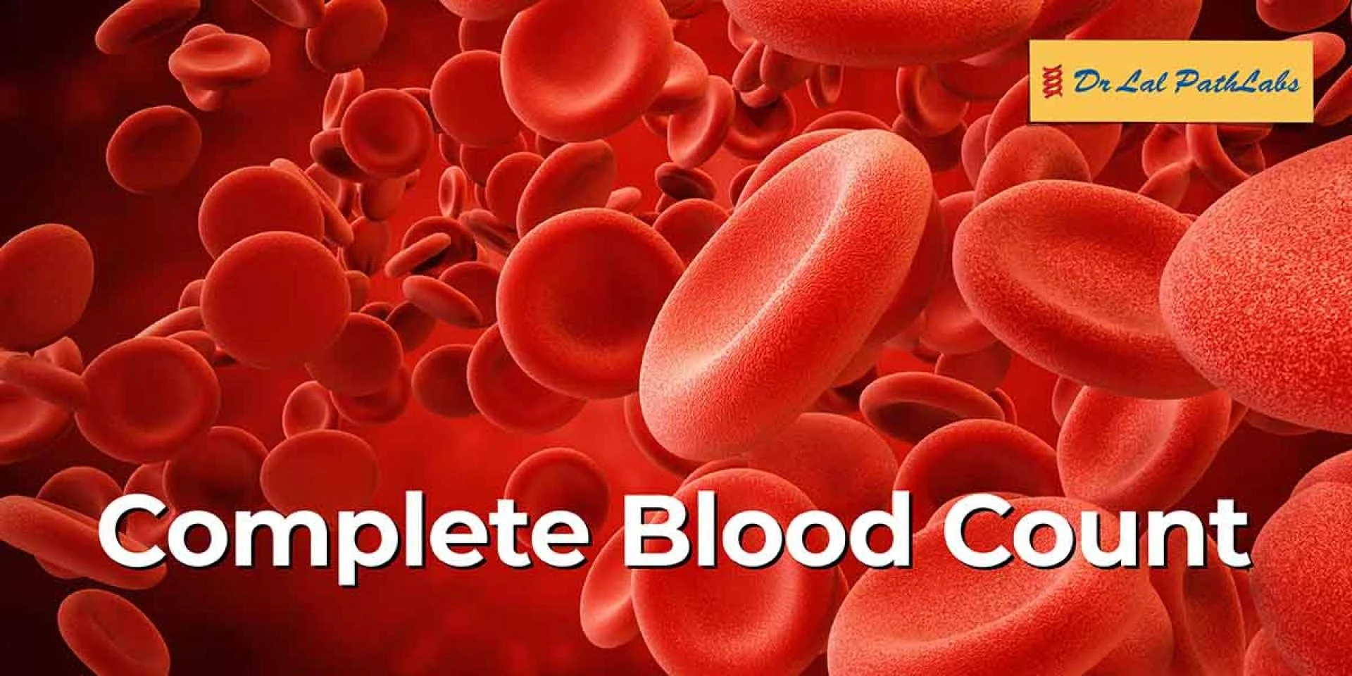 Understanding the CBC Test: Purpose, Procedure, and Interpretation