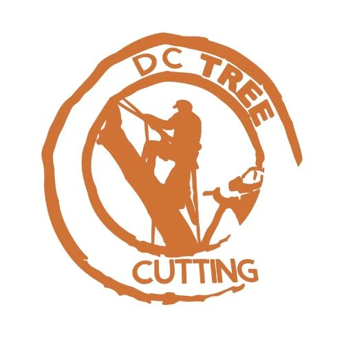 Hazardous Trees to Watch For on Your NC Property