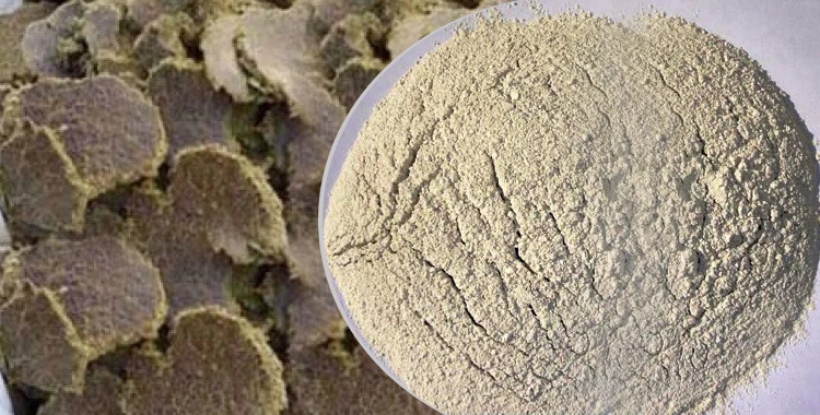 Cottonseed Flour/Meal: A Reliable and Sustainable Protein Source from a Leading Exporter/Supplier