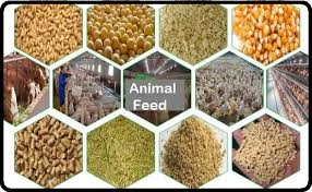 Why Smart Farms in Malaysia Choose Reputable Feed Suppliers