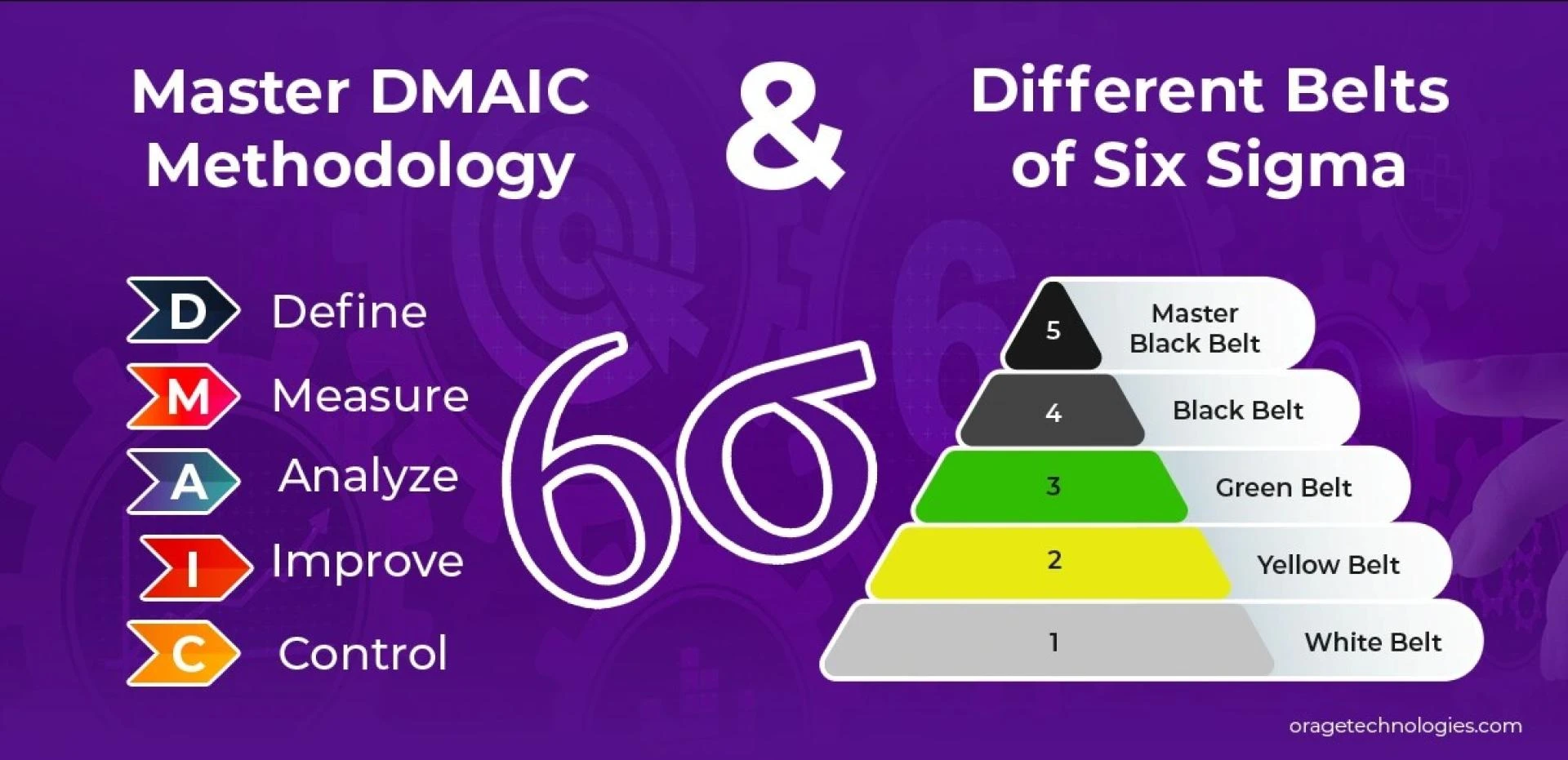 Understanding Six Sigma Belts and the DMAIC Roadmap for Process Improvement