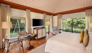 Wild Comfort: Top Luxury to Budget Stays for Your Bandhavgarh Safari Adventure