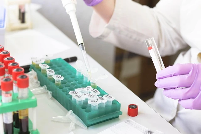 Laboratory Labels That Last: A Practical Guide to Legible, Traceable, Lab-Ready IDs