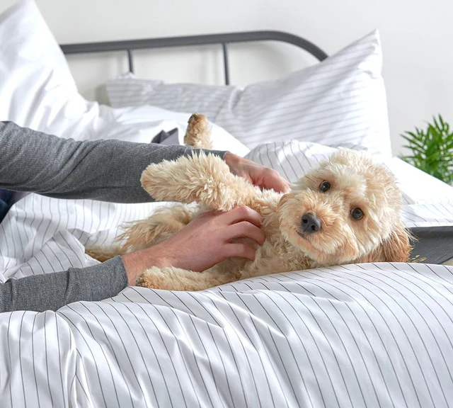 How to Care for Percale Cotton Sheets to Keep Them Soft and Durable