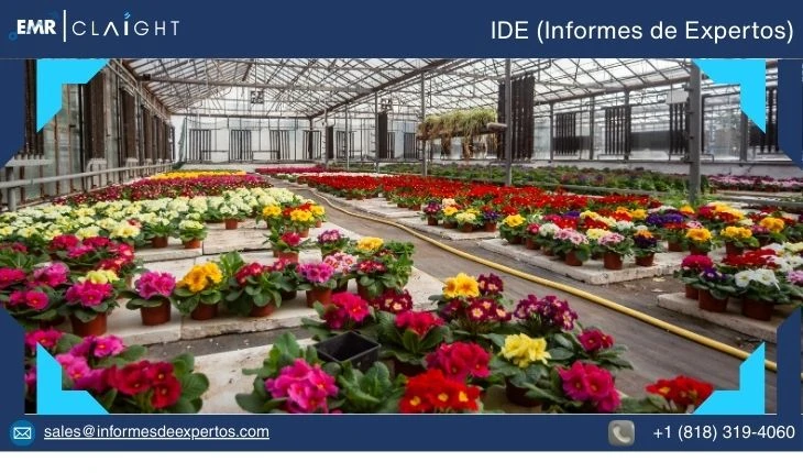Mercado de la Floricultura en Colombia: Crecimiento, Oportunidades y Proyecciones