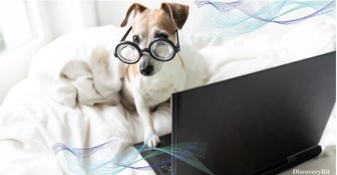 Animal Intelligence and Beyond – Visit Discovery Bit for Unique Discoveries
