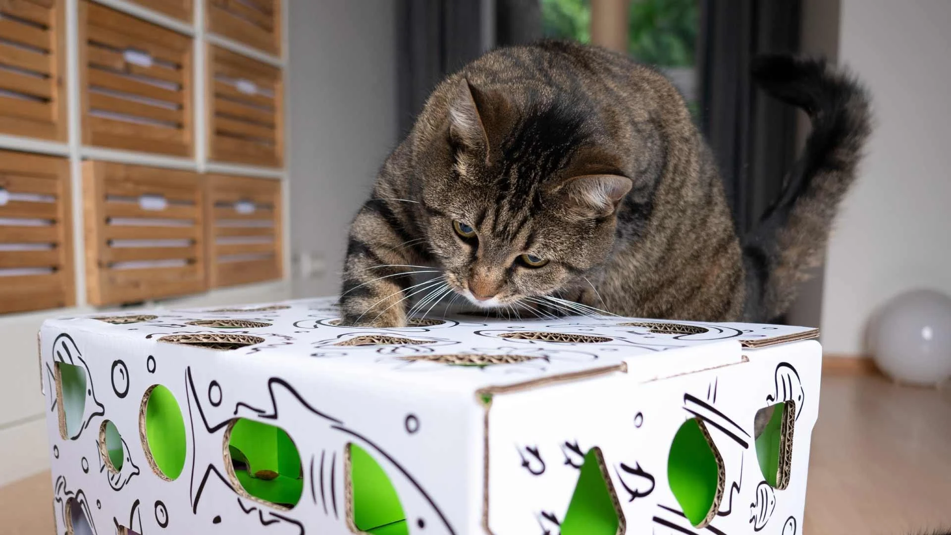 Cat Amazing Puzzle Feeder: A Smart Way to Keep Cats Happy