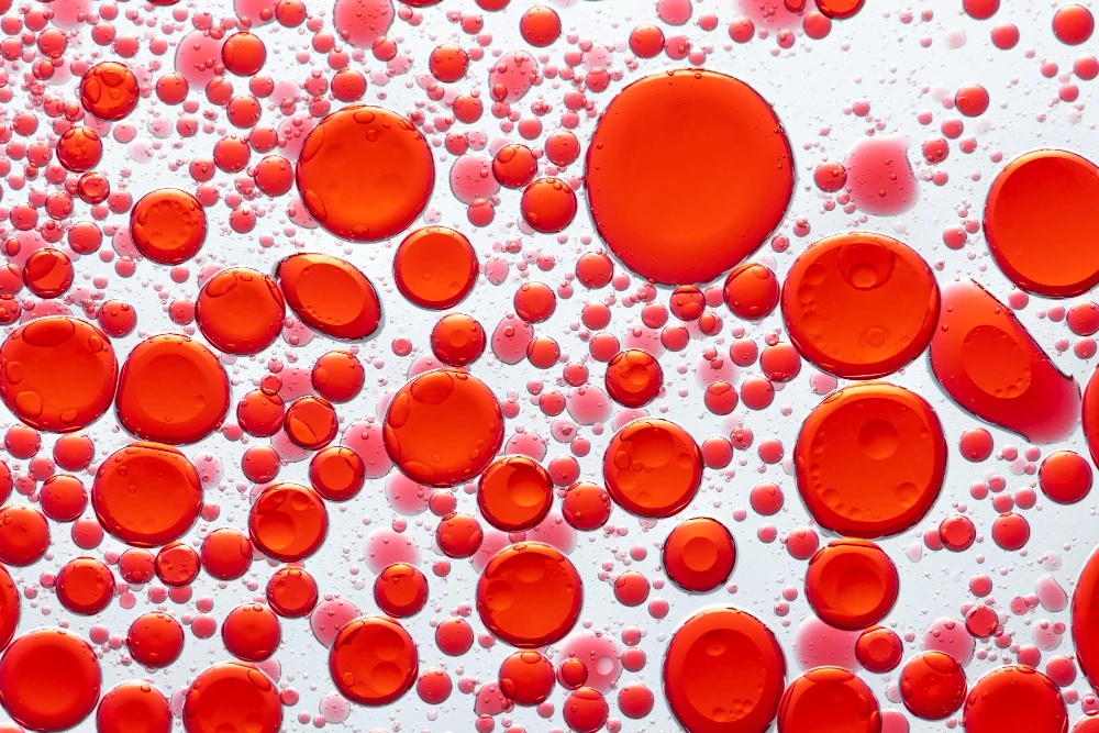 Therapeutic Resistance in High-Risk Blood Cancers 