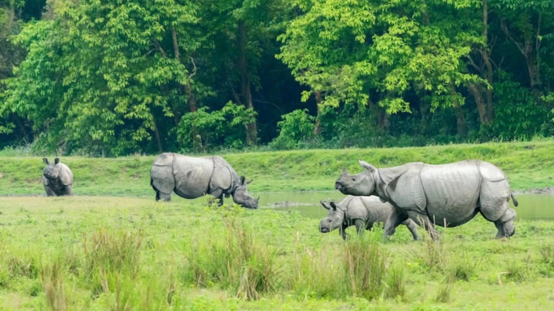 Explore Assam Meghalaya Arunachal Pradesh Tour Packages