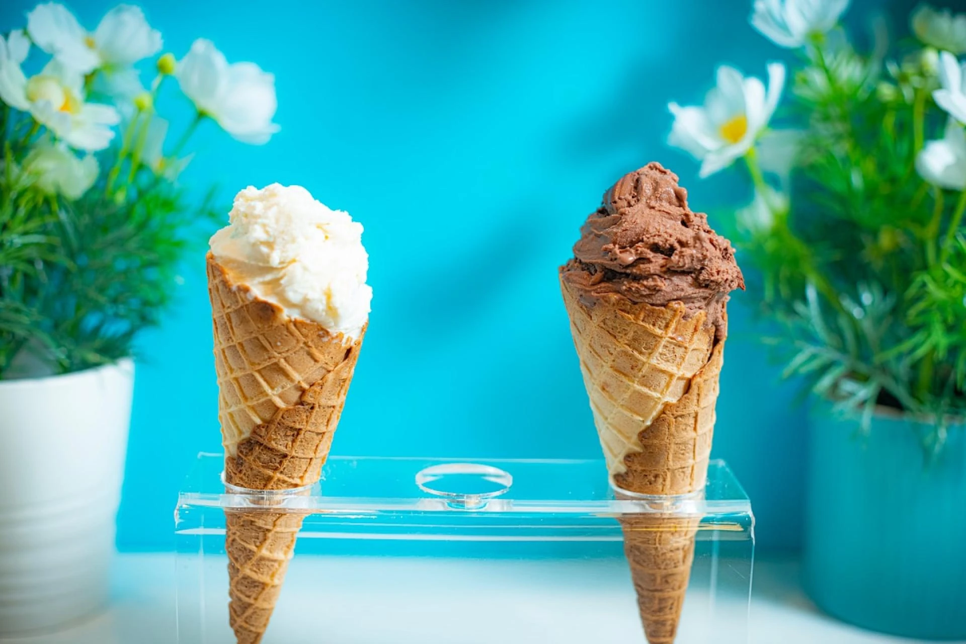What Chicago Ice Cream Trucks Do to Stay Clean and Compliant