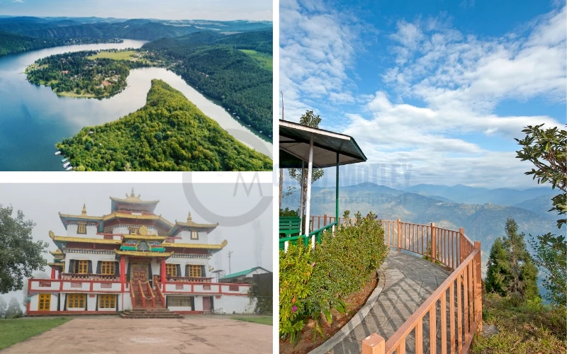 Choosing a Well-Planned Kalimpong tour Package Tour Packages