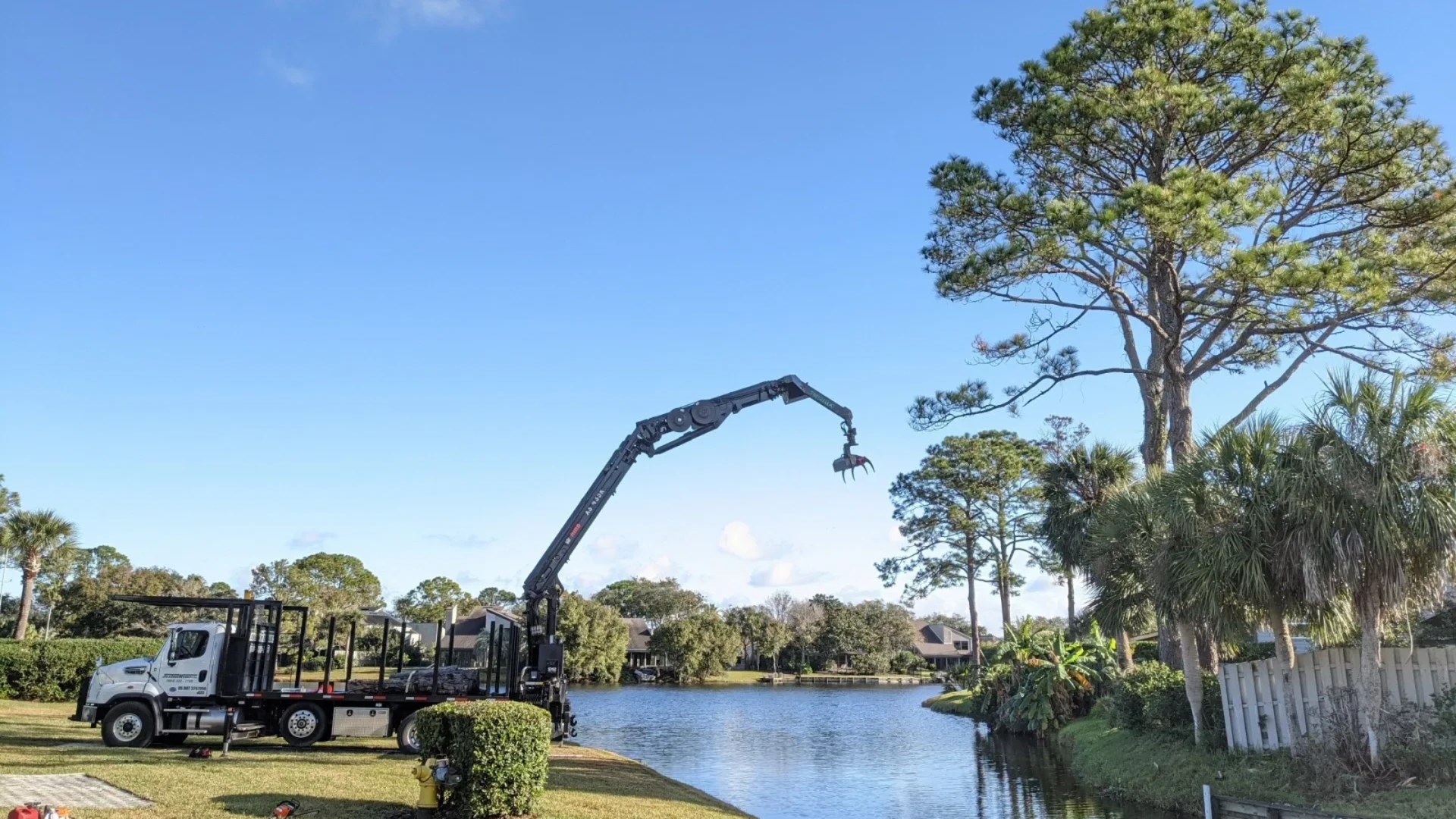 Why Regular Commercial Tree Trimming is Essential for Jacksonville Properties?