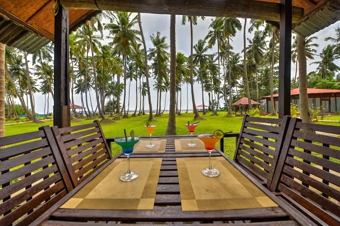 Across Turquoise Horizons: An Intimate Journey Through Andaman Nicobar Islands Honeymoon Packages