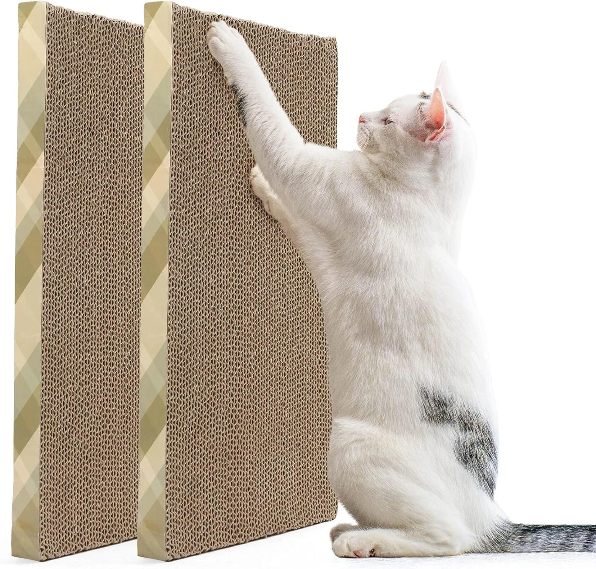 The Perfect Home Accessory for Feline Friends