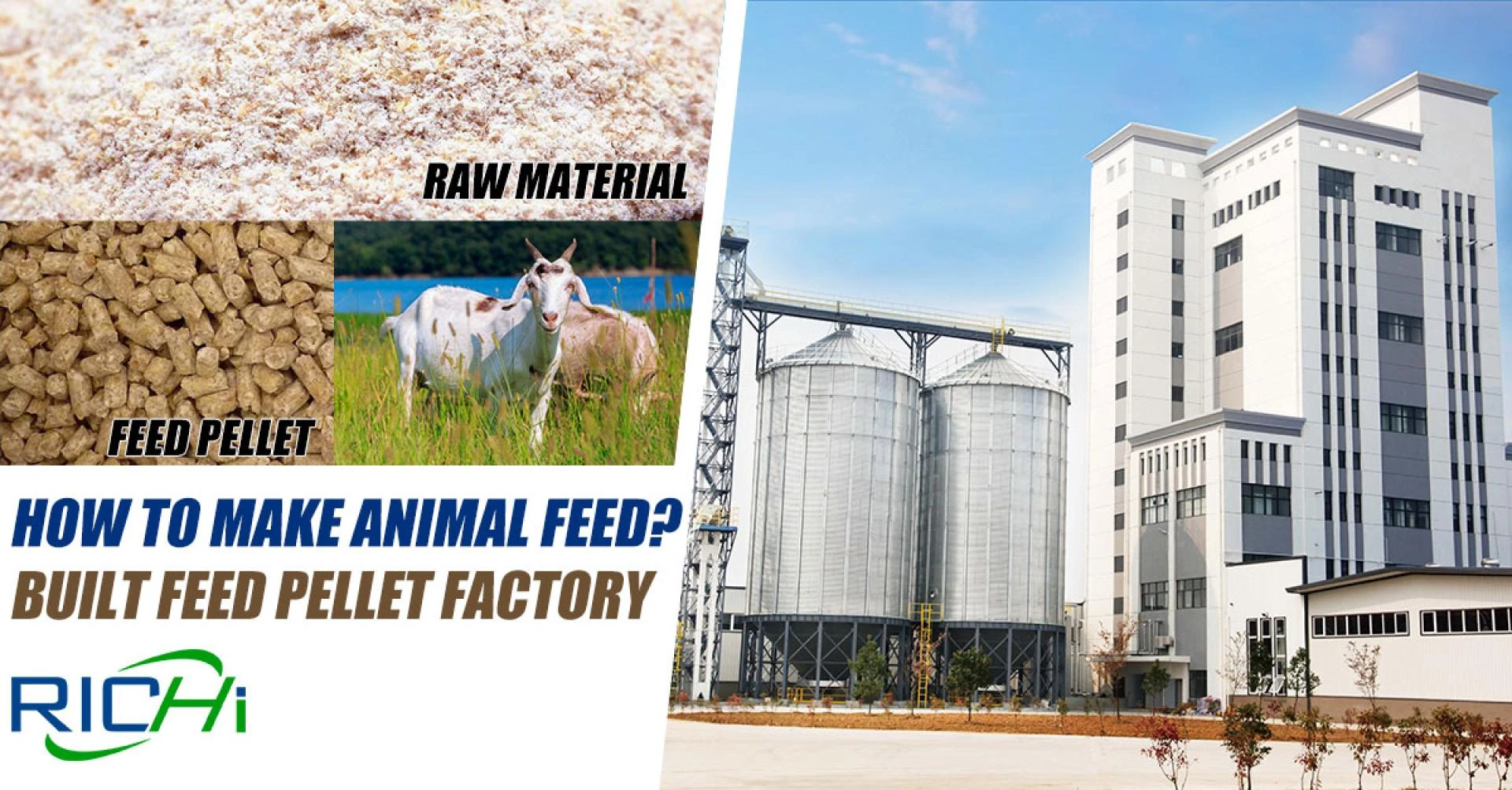 Pellet Line for Sale: Total Biomass and Feed Production Solutions