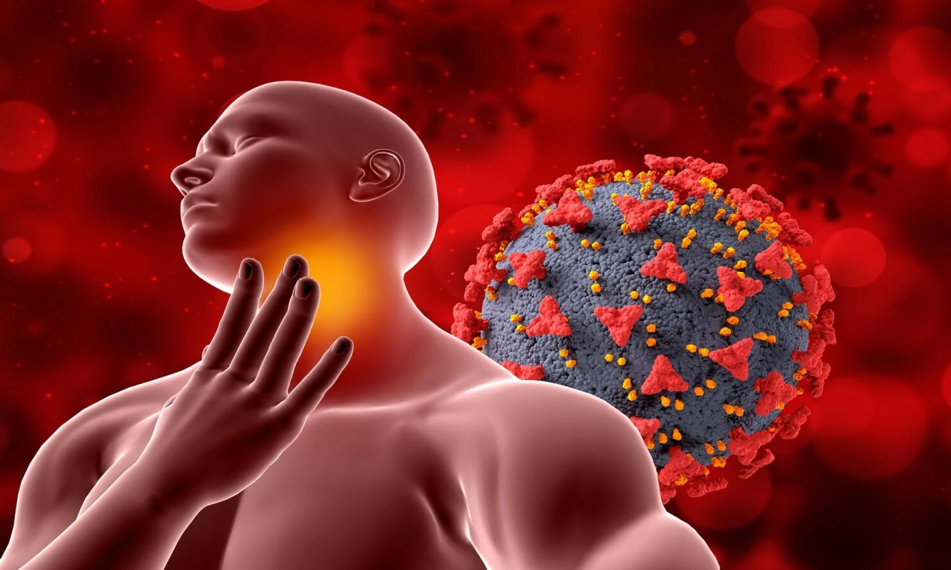 Understanding Hashimoto's Disease: Symptoms, Causes, and What to Do Next
