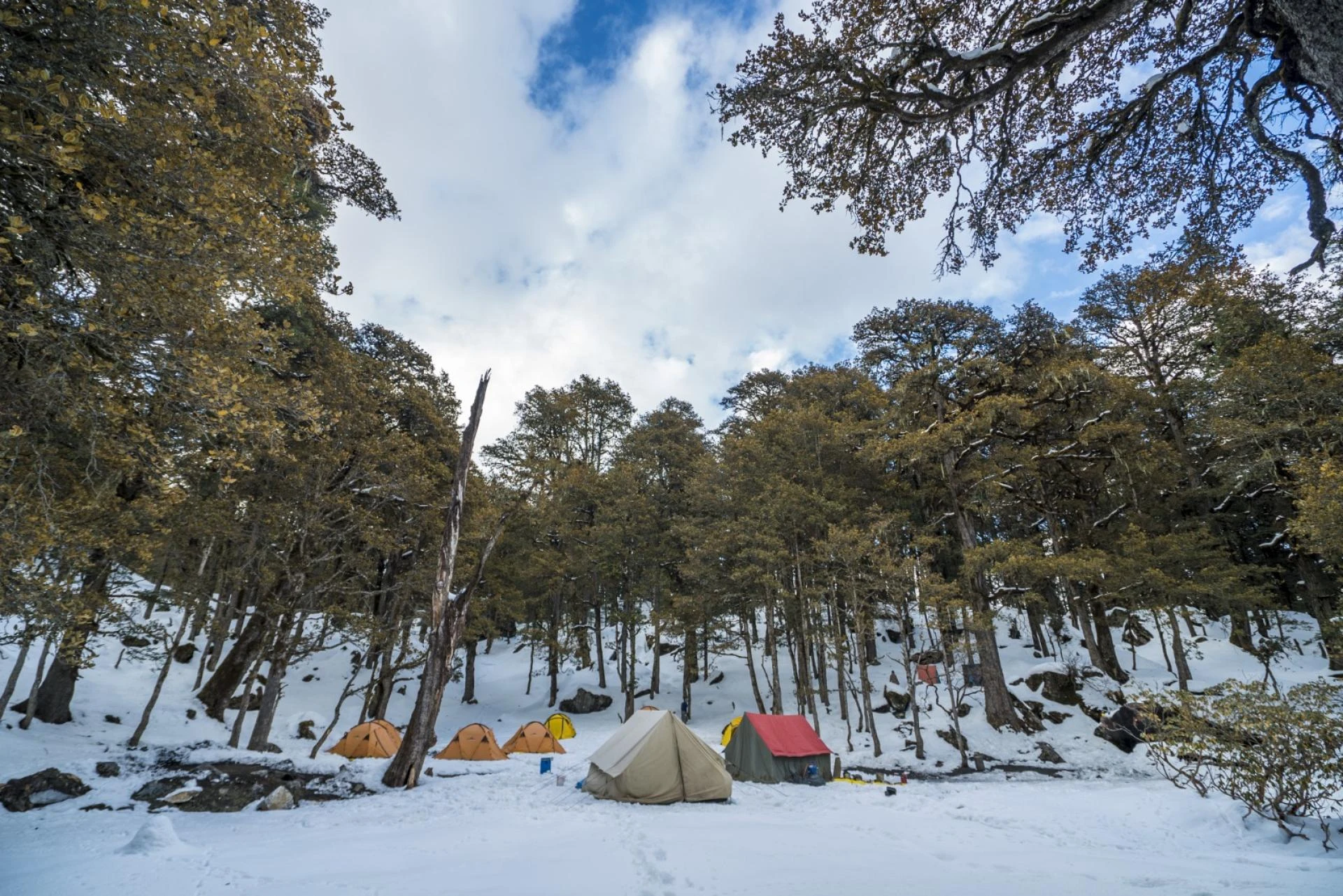 5 Powerful Moments That Make the Kuari Pass Trek Unforgettable