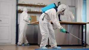 Professional Bug Removal Services in Lahore: Your Complete Guide