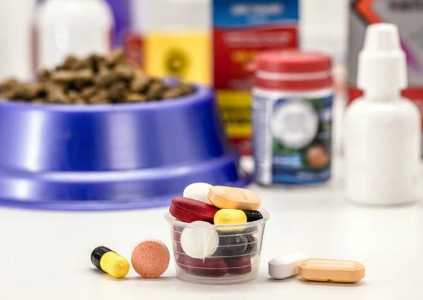 Toxin Binders in Poultry Feed: Benefits and Best Manufacturers in India