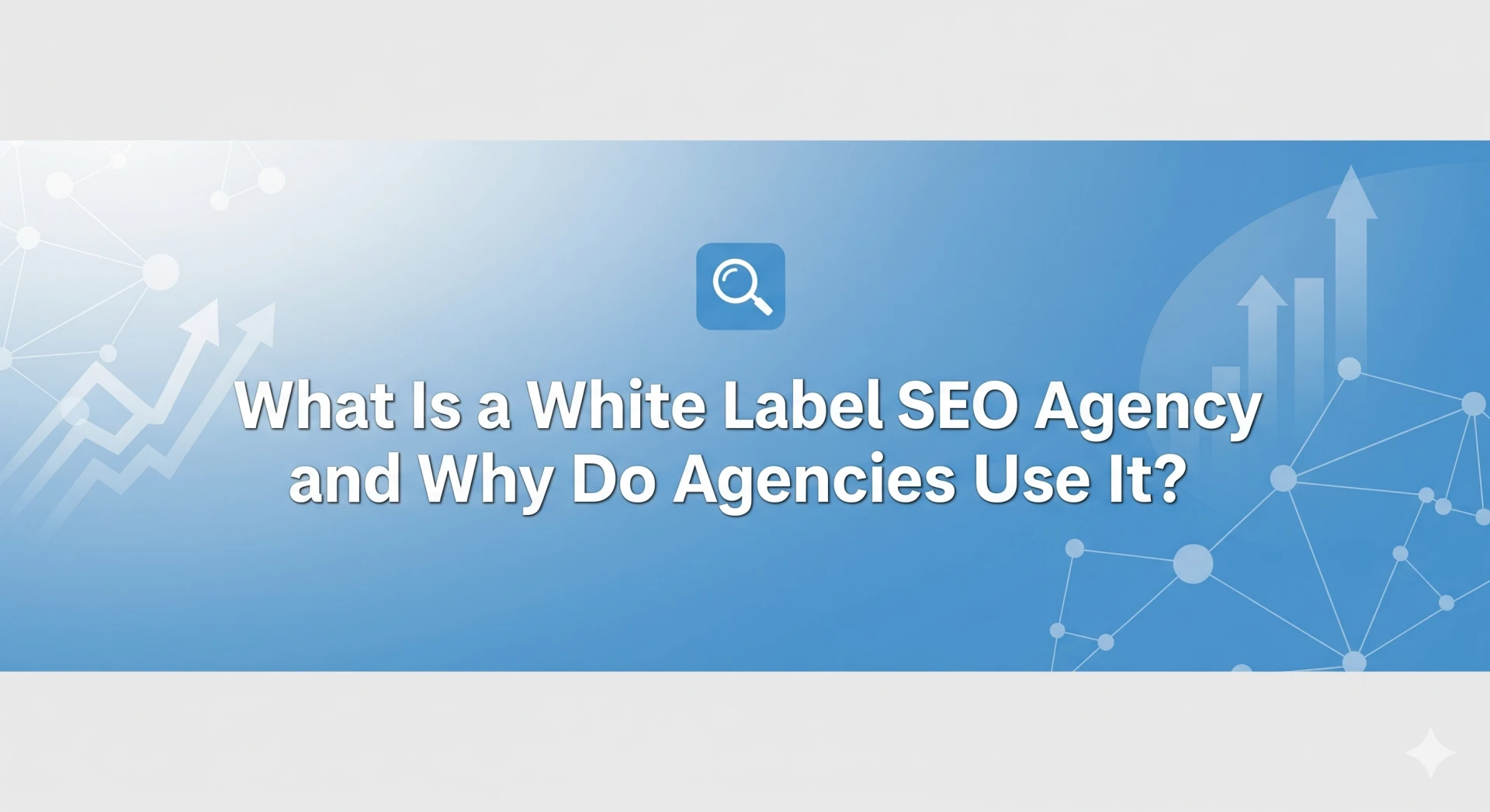 What Is a White Label SEO Agency and Why Do Agencies Use It?