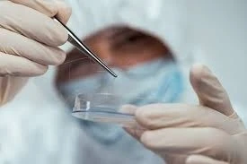Understanding Forensic DNA Testing