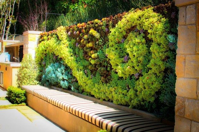 Indoor Plant Care Tips for Perth Residents: A Practical Guide to Green Living