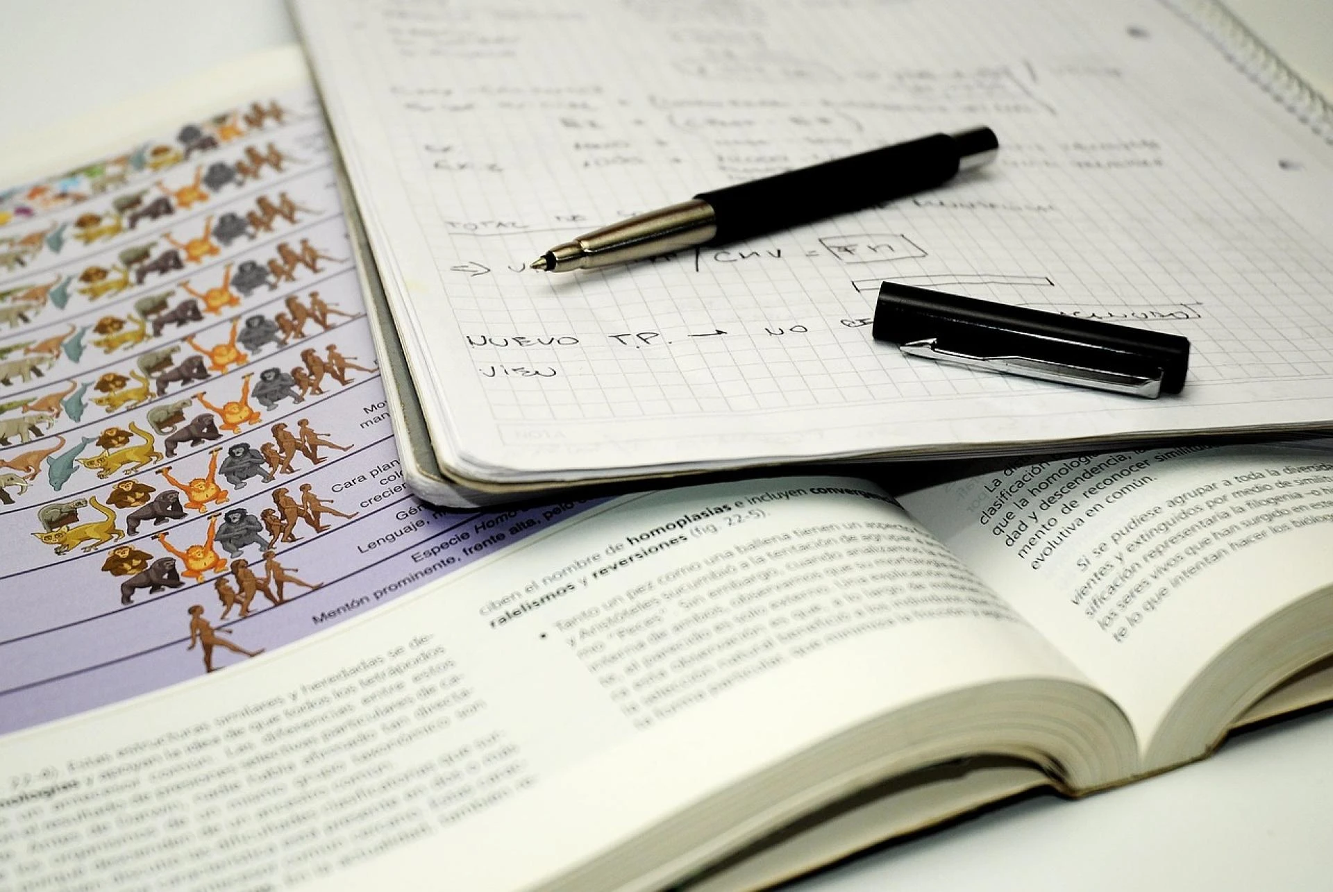 Step-by-Step Guide to Converting Unicode to Shree Lipi for Desktop Publishing and Professional Printing