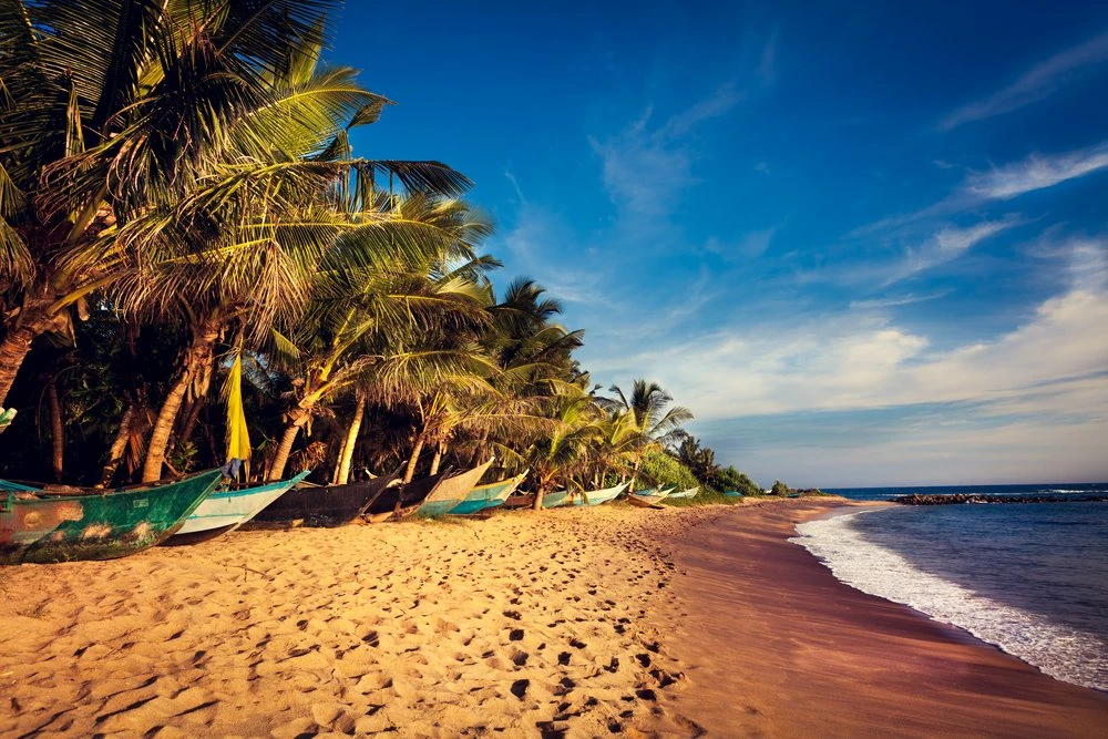 Sri Lanka Visa Photo Requirements for Indian Citizens – Full Details