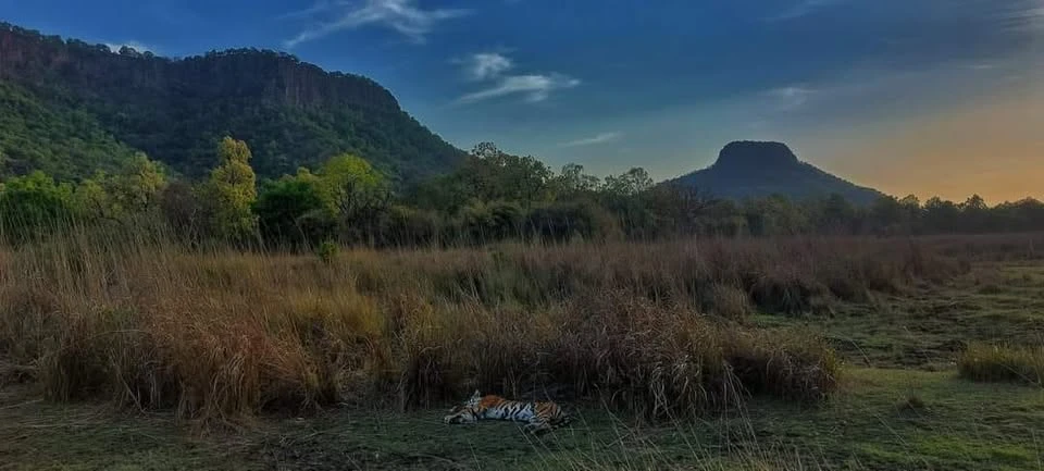 Safari Booking Bandhavgarh – Tips for First-Time Visitors